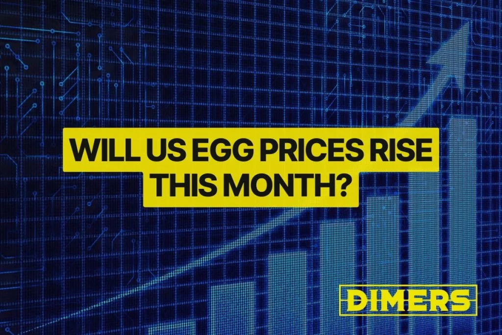 Will US Egg Prices Rise This Month?