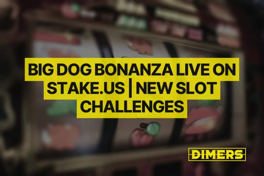 Big Dog Bonanza Live on Stake.us | New Slot Challenges
