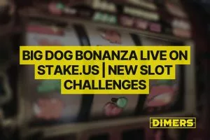 Big Dog Bonanza Now Live on Stake.us | New Slot Challenges