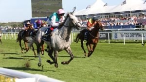 Horse Racing Sites