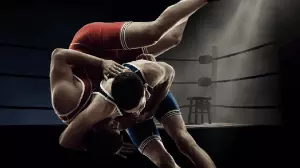 UFC Sportsbooks
