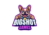 Big Shot Games