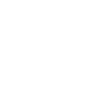 Gemini Predictions