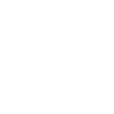 Punt