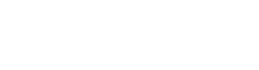 Punt